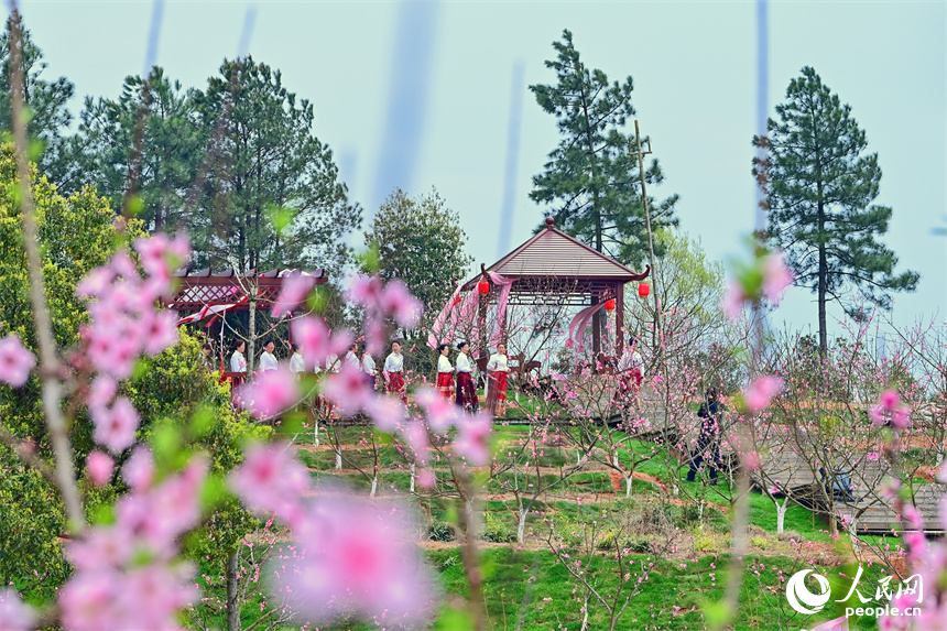 近日，江西省抚州市崇仁县以举办桃花节为契机，拓展消费场景，“国潮文化”“乡村土味”“民俗风情”成为激发“春日经济”的新动能。 朱海鹏摄